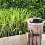 boba-tea-house-ann-arbor-bubble-tea-ann-arbor-mi-48103-blueberry-milk-tea